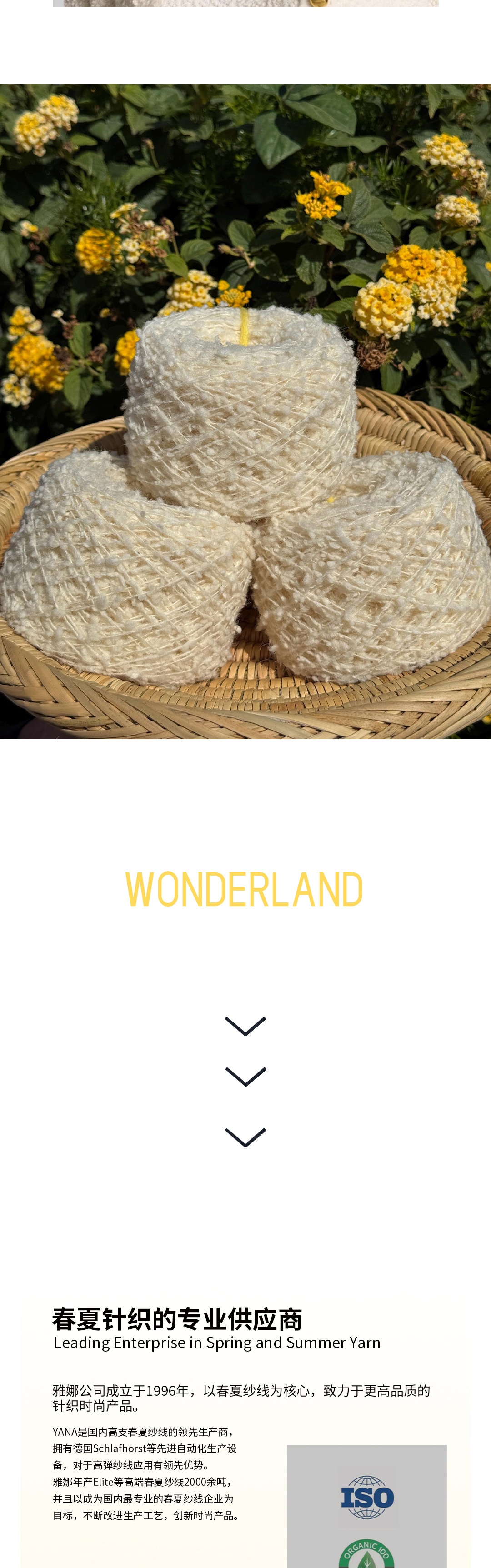 Wonderland梦幻触感圈圈纱4