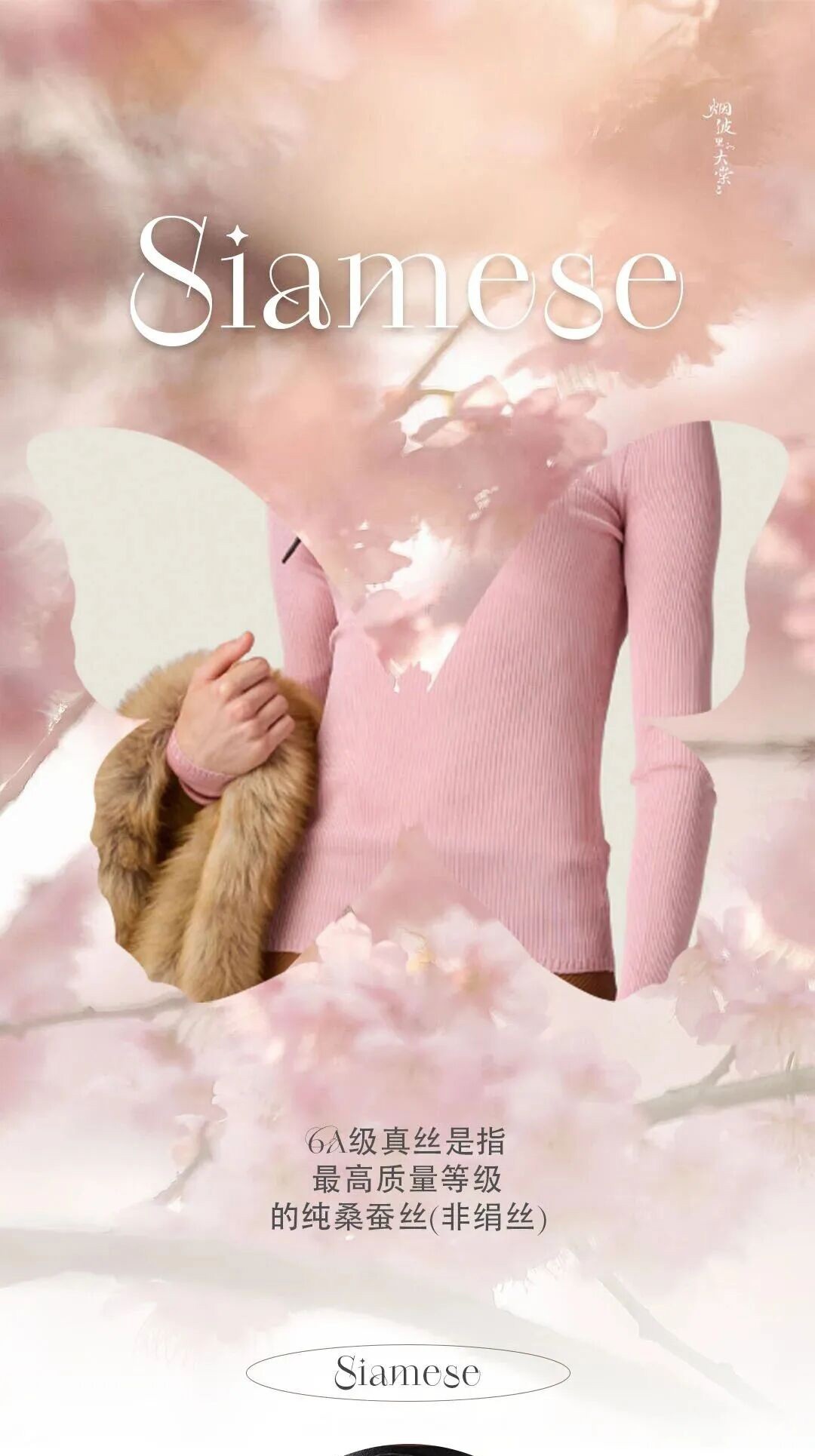 Siamese_01
